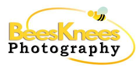 BeesKnees Photography photo
